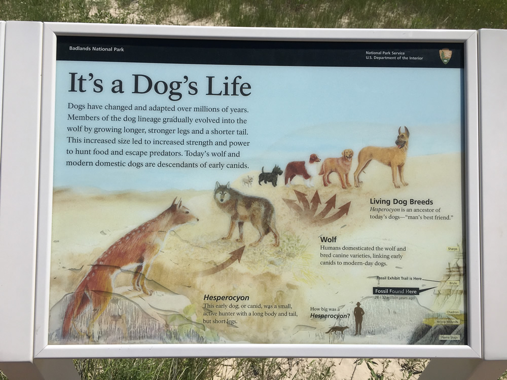 Badlands National Park
